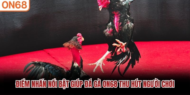 Điểm nhấn nổi bật giúp đá gà ON68 thu hút người chơi
