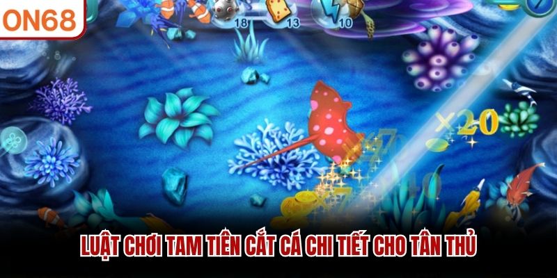 Luật chơi Tam Ti&ecirc;n cắt c&aacute; chi tiết cho t&acirc;n thủ