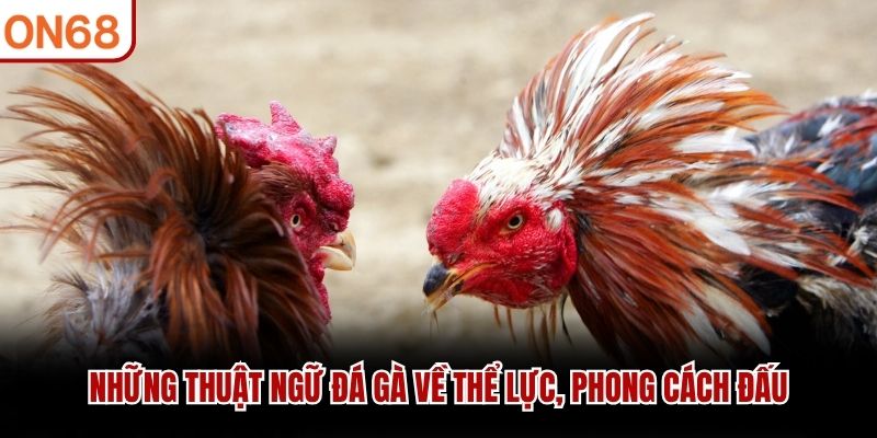 Những thuật ngữ đá gà về thể lực, phong cách đấu