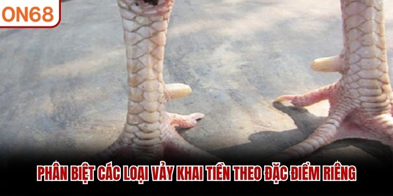 Phân biệt các loại vảy Khai Tiền theo đặc điểm riêng