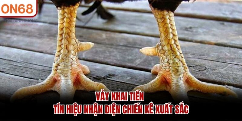 Vảy Khai Tiền